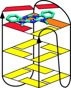 3D diagram of a selective G-quadruplex ligand: an azacyanine molecule (teal heterocyclic structure) stacks on the 5' face of a G-quadruplex DNA structure built from red G-tetrad layers and yellow sugar-phosphate backbone loops