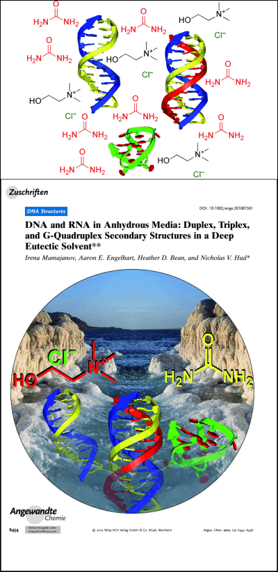 Angewandte Chemie cover and graphical abstract showing DNA and RNA secondary structures (duplex, triplex, and G-quadruplex in blue, red, green, and yellow) dissolved in a deep eutectic solvent of choline chloride and urea