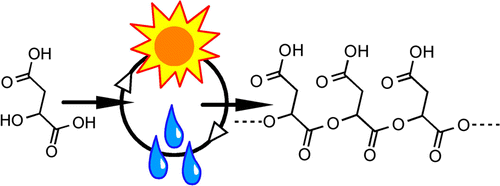 Chemical schematic of prebiotic polyester formation via wet-dry cycles: tartaric acid monomers undergo esterification driven by alternating sun (drying) and water drops (rewetting) to produce far-from-equilibrium polyester chains