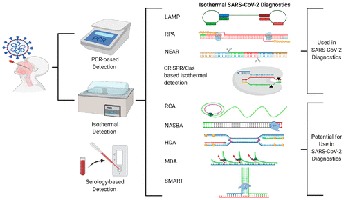 Overview graphic of isothermal SARS-CoV-2 diagnostics: schematic diagrams of eight amplification methods (LAMP, RPA, NEAR, CRISPR/Cas, RCA, NASBA, HDA, MDA, SMART) categorized as currently used or with potential for use in SARS-CoV-2 detection