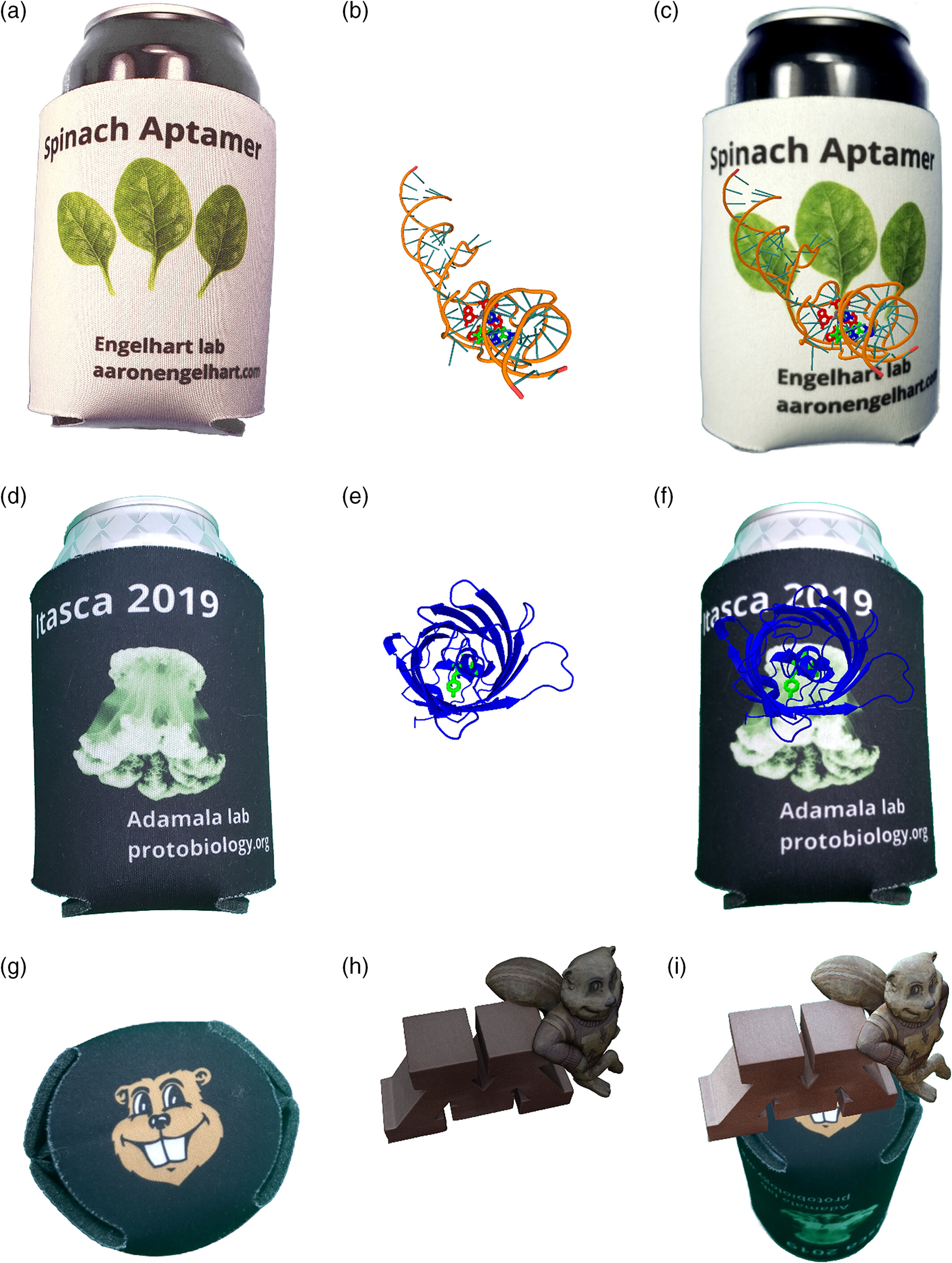 Nine-panel figure demonstrating smartphone AR for structural biology education: beverage can koozies printed with Spinach aptamer (a–c) and jellyfish Aequorea GFP (d–f) molecular designs shown before and after AR overlay, plus 3D-printed molecular models (g–i) with their AR-rendered structures