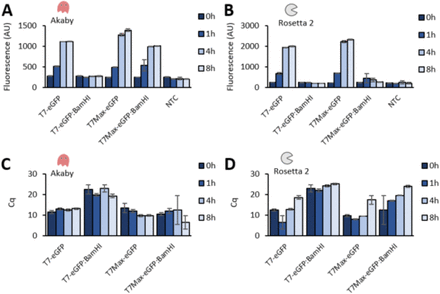 figures showing that the akaby cell-free expression system exhibits higher yield with linear templates compared to Rosetta