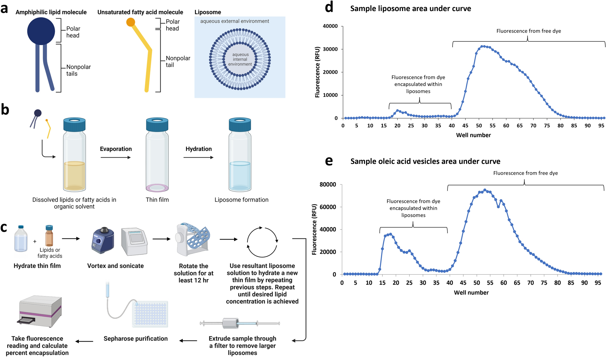 Figure panels showing increased encapsulation in sequentially hydrated liposomes