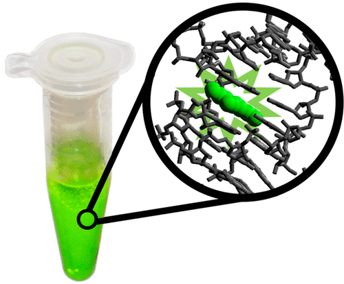 Illustration for the Broccoli aptamer J. Chem. Ed. lab exercise: a green-fluorescing microcentrifuge tube containing an in vitro transcription reaction, with a molecular zoom-in showing the Broccoli RNA aptamer (gray stick model) bound to a DFHBI fluorophore (green)